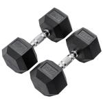 METEOR Hex Dumbbell Set - Rubber Coated Weights