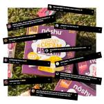 Noshu Mango Cream Protein Bars - 5 Pack