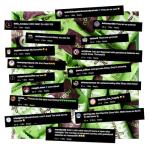 Noshu Low Carb Choc Mint Snack Bars - 5 Pack