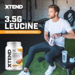 Scivation Xtend BCAA Powder, Mango Flavor, 90 Servings
