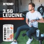 Scivation Xtend BCAA Powder - Blood Orange Flavor