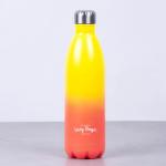 Insulated Stainless Steel Water Bottle for Gym