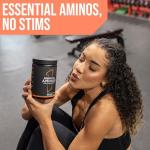Rule1 R1 Essential Amino 9 Recovery Supplement 345g