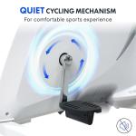 FLEXISPOT Under Desk Exercise Bike with Removable Desktop