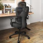 Adjustable Ergonomic Office Chair with Lumbar Support