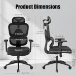 Adjustable Ergonomic Office Chair with Lumbar Support