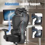 Adjustable Ergonomic Office Chair with Lumbar Support
