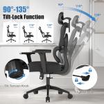 Adjustable Ergonomic Office Chair with Lumbar Support