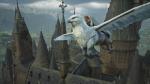 Hogwarts Legacy for Nintendo Switch