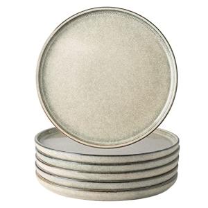 AmorArc Set of 6 10.5 Inch Ceramic Plates