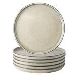 AmorArc Set of 6 10.5 Inch Ceramic Plates