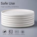 AmorArc 10.5 Inch Stoneware Dinner Plates Set of 6