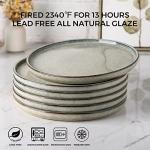 AmorArc Set of 6 10.5 Inch Ceramic Plates