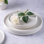 AmorArc 10.5 Inch Stoneware Dinner Plates Set of 6