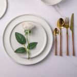 AmorArc 10.5 Inch Stoneware Dinner Plates Set of 6