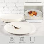 Hakeemi 12-Piece Scratch-Resistant Glass Dinner Plates