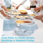 NutriUps 10-Inch Clear Glass Dinner Plates, 2 Pack