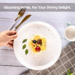 10" White Glass Dinner Plates Set of 6