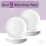 Set of 12 White Porcelain Dinner Plates