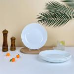 6-Piece Lightweight White Dinner Plates Set