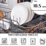 6-Piece Lightweight White Dinner Plates Set