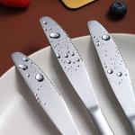 Berglander Stainless Steel Dinner Knife Set of 6