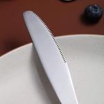 Berglander Stainless Steel Dinner Knife Set of 6