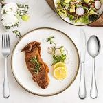 40-Piece Stainless Steel Silverware Set for 8