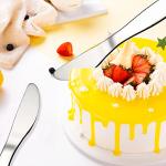 VANRA Kids Stainless Steel Cutlery Set – 4 Pieces