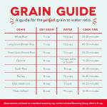 DASH Mini Rice Cooker with Nonstick Pot - Aqua