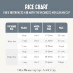 GreenLife 3-Cup Electric Rice Cooker, Compact Design