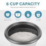 Aroma 6-Cup Rice Cooker and Food Steamer