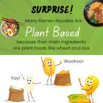 Gourmet Ramen Noodle Sampler Pack - 10 Varieties