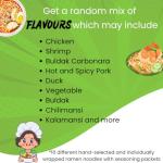 Gourmet Ramen Noodle Sampler Pack - 10 Varieties