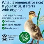 Organic Jasmine Rice by Lundberg, 32 Ounce