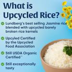 Lundberg Organic Jasmine Rice - Light & Fluffy