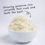 Premium Aromatic Jasmine White Rice - 2 lb