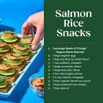 Organic Brown Basmati Rice - 8.5 OZ Pouch