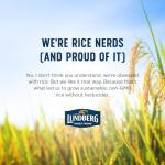 Lundberg Wild Blend Rice - Gluten-Free Whole Grains