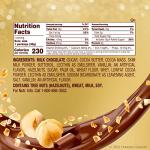 Ferrero Rocher Gourmet Hazelnut Chocolate, 3 Count