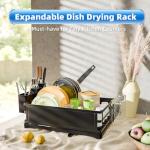 Black Steel Dish Rack with Cutlery Holder