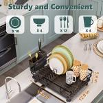 AIDERLY Extendable Iron Dish Drying Rack with Strainer