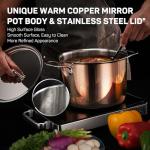 Ciwete 10-Piece Copper Stainless Steel Cookware Set