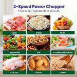 800W Electric Food Processor & Meat Grinder