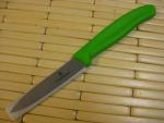 Victorinox Swiss Classic 3.25" Paring Knife - Green