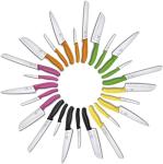 Victorinox Swiss Classic 3-Piece Paring Knife Set