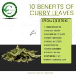 Dried Curry Leaves - Premium Flavor, 0.4 Oz
