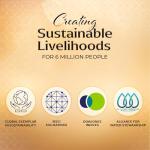 Kitchens of India Curry Paste Combo Pack