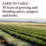 Tikka Masala Spice Mix for Meat - 2 oz