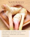 Organic Galangal Powder for Asian Cooking 4 OZ